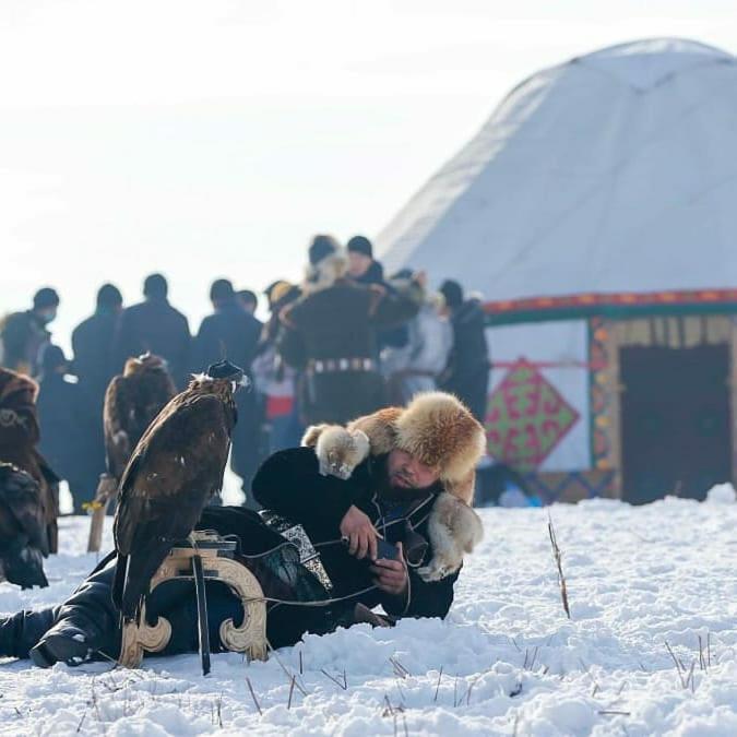 юрта Qyran Luxury tent