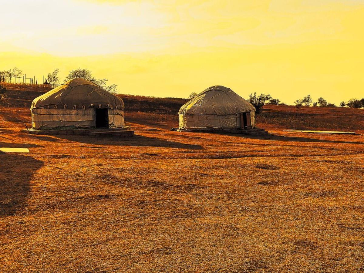 Luxury tent юрта Qyran Tauturgen