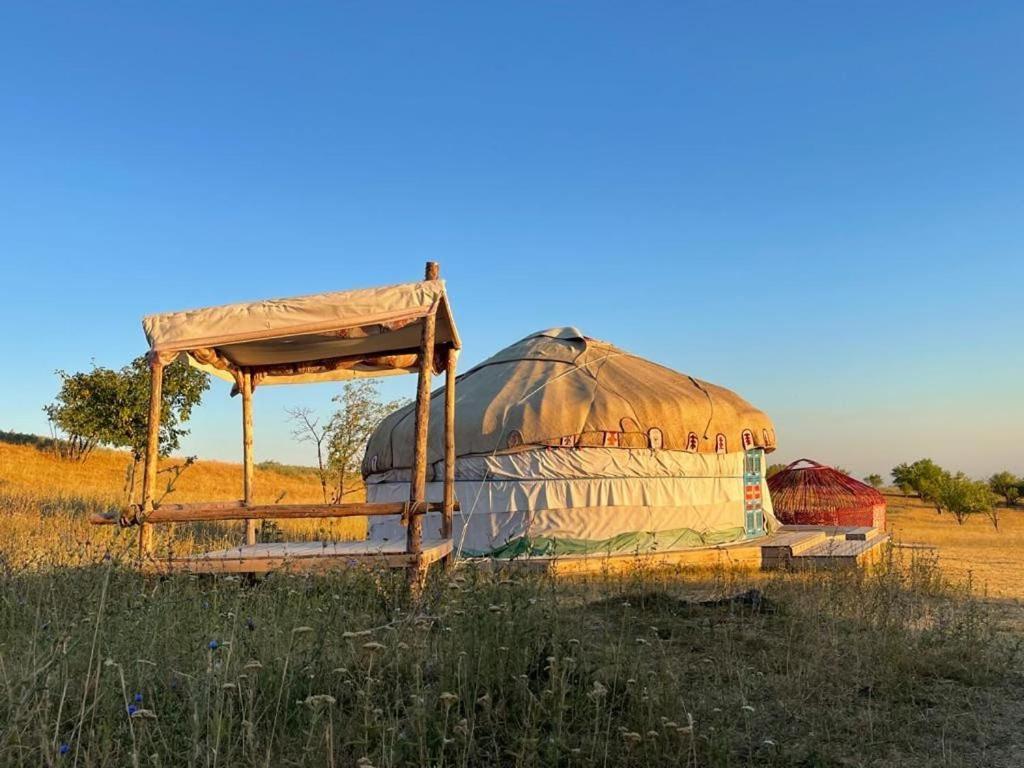 юрта Qyran Luxury tent *