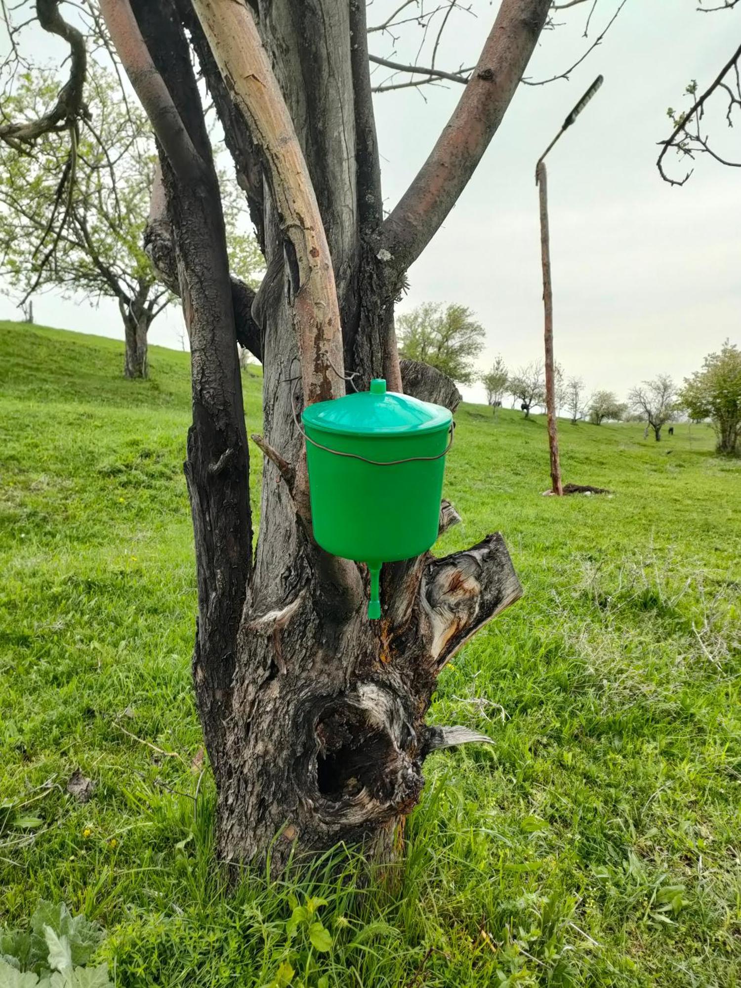 юрта Qyran * Tauturgen